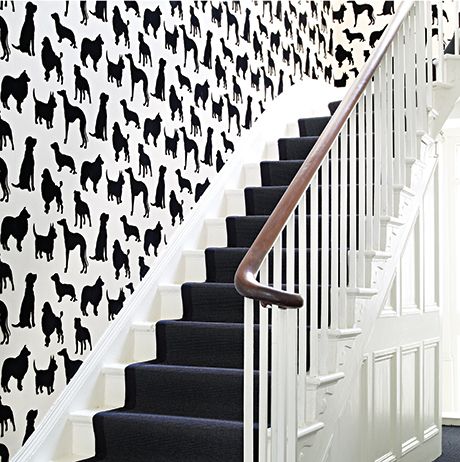media image for Best In Show Wallpaper in black from the Walk In The Park Collection by Osborne & Little 226
