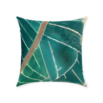 product image for waterland throw pillow by elise flashman 5 9
