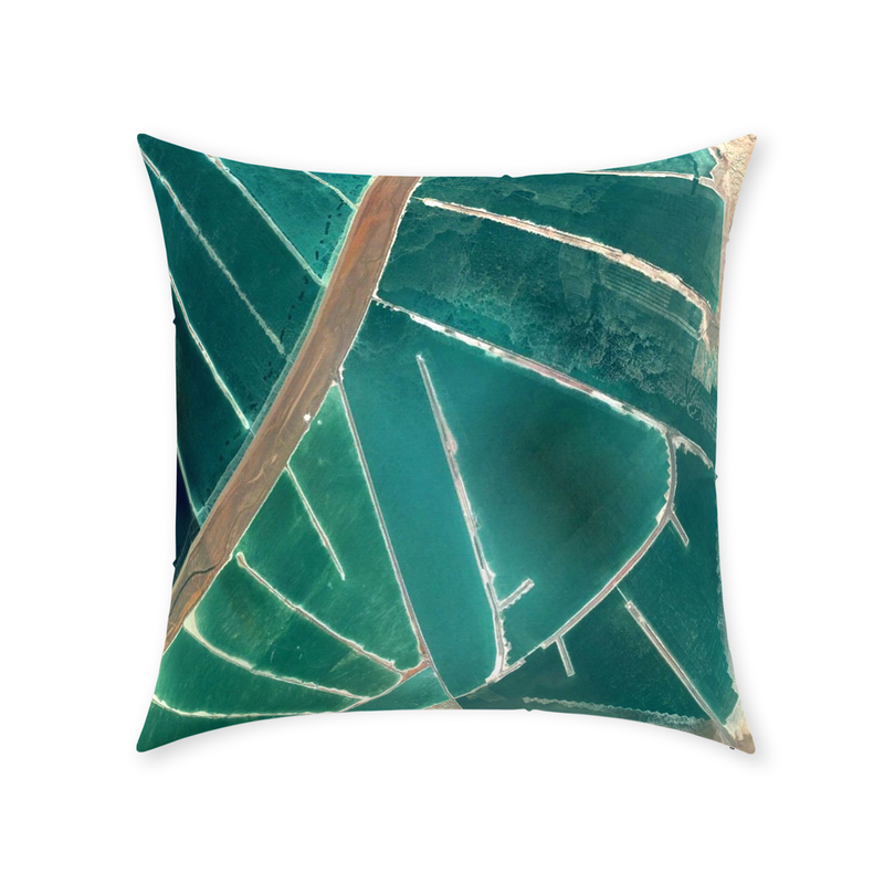 media image for waterland throw pillow by elise flashman 8 248