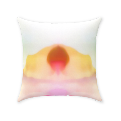product image for desert sun throw pillow by elise flashman 1 6 48