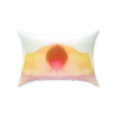 product image for desert sun throw pillow by elise flashman 1 1 91