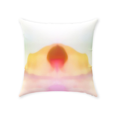product image for desert sun throw pillow by elise flashman 1 3 97