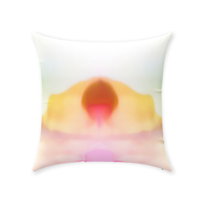 product image for desert sun throw pillow by elise flashman 1 4 55