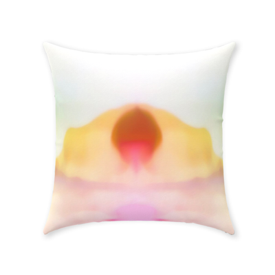 product image for desert sun throw pillow by elise flashman 1 5 33