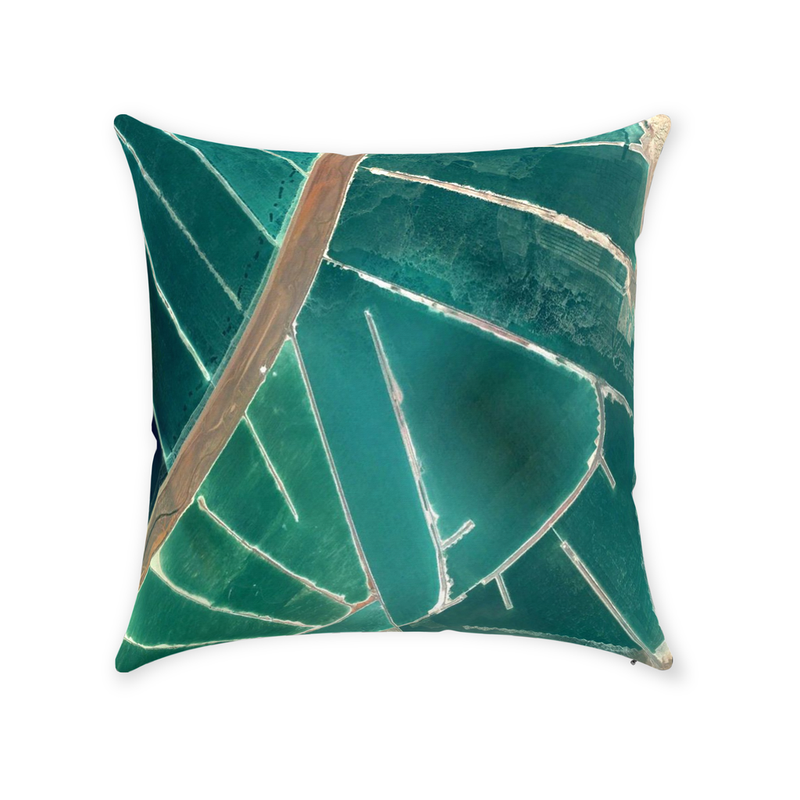 media image for waterland throw pillow by elise flashman 7 225
