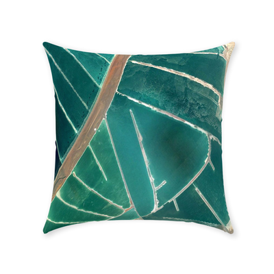 product image for waterland throw pillow by elise flashman 6 33