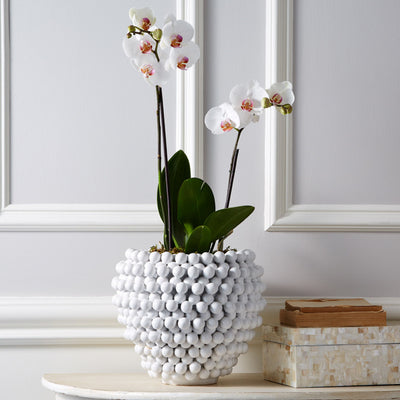 product image for pompon vase planter design by tozai 1 4