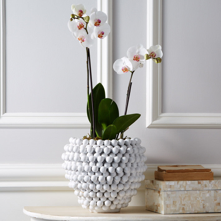 media image for pompon vase planter design by tozai 1 278