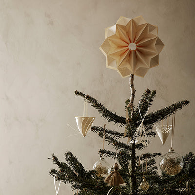 collection photo of Christmas Trees image 68