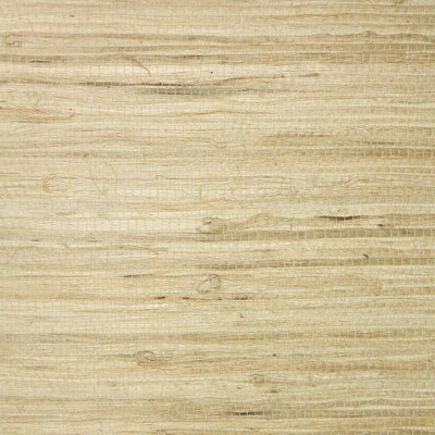 Essential Roots Collection for collection image 28