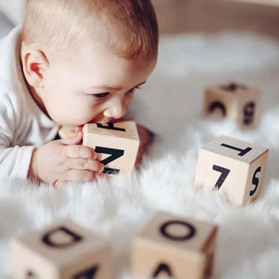 collection photo of Infant Development image 8