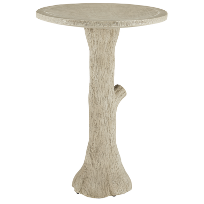 product image for Faux Bois Bird Bath By Currey Company Cc 2200 0024 2 10