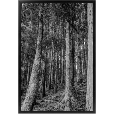 product image of  514