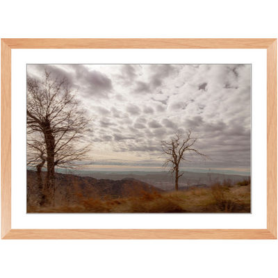 product image for Traveling Framed Print 79