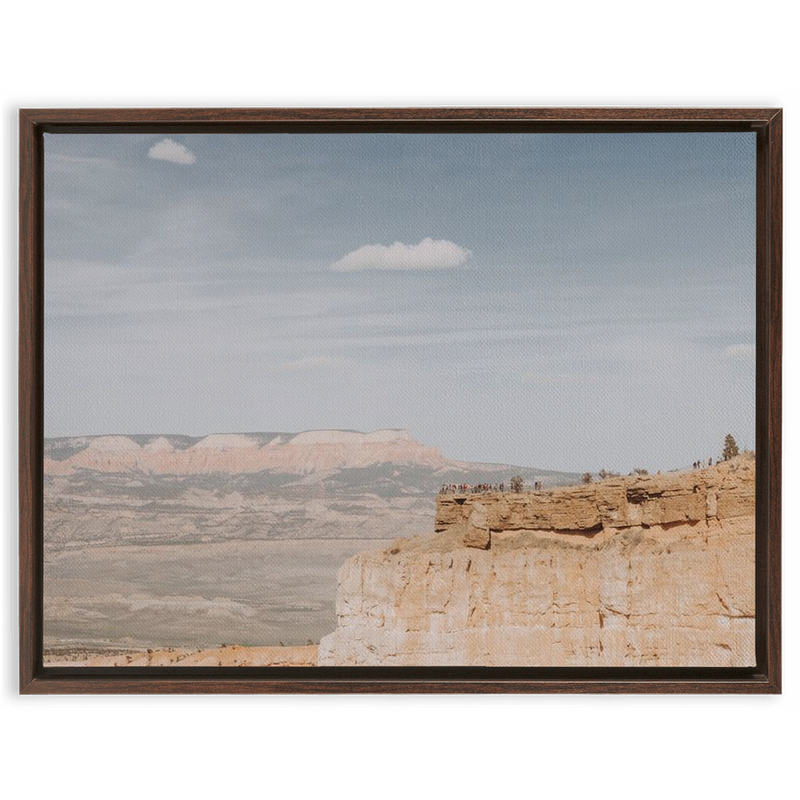 media image for Grand Canyon Framed Canvas 249
