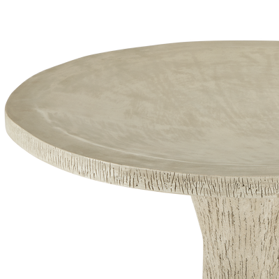 product image for Faux Bois Bird Bath By Currey Company Cc 2200 0024 3 26