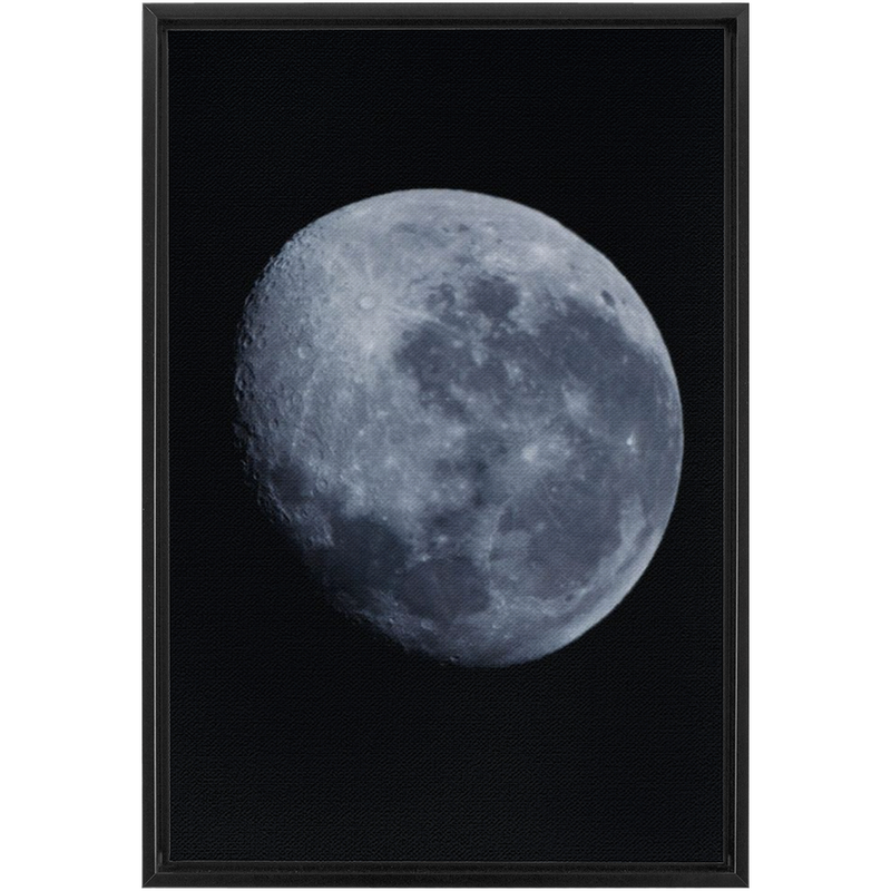 media image for Blue Moon Framed Canvas 23