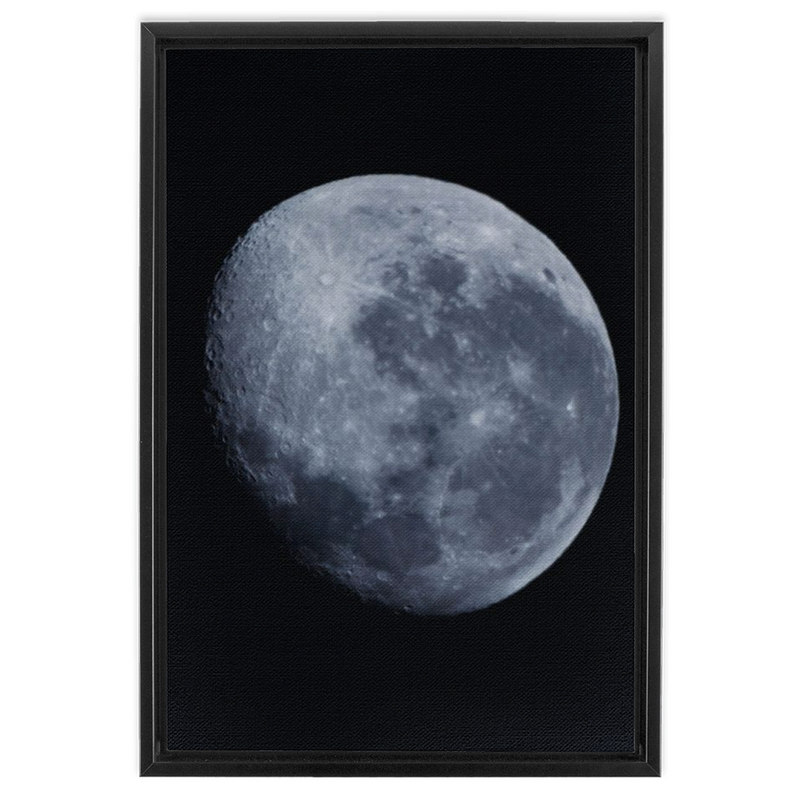 media image for Blue Moon Framed Canvas 296
