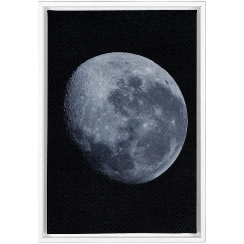 media image for Bue Moon Framed Canvas 249