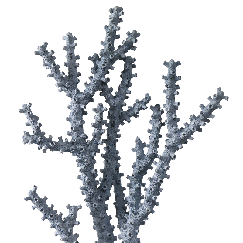 media image for Blue Coral Set Of 2 By Currey Company Cc 1200 0797 3 224