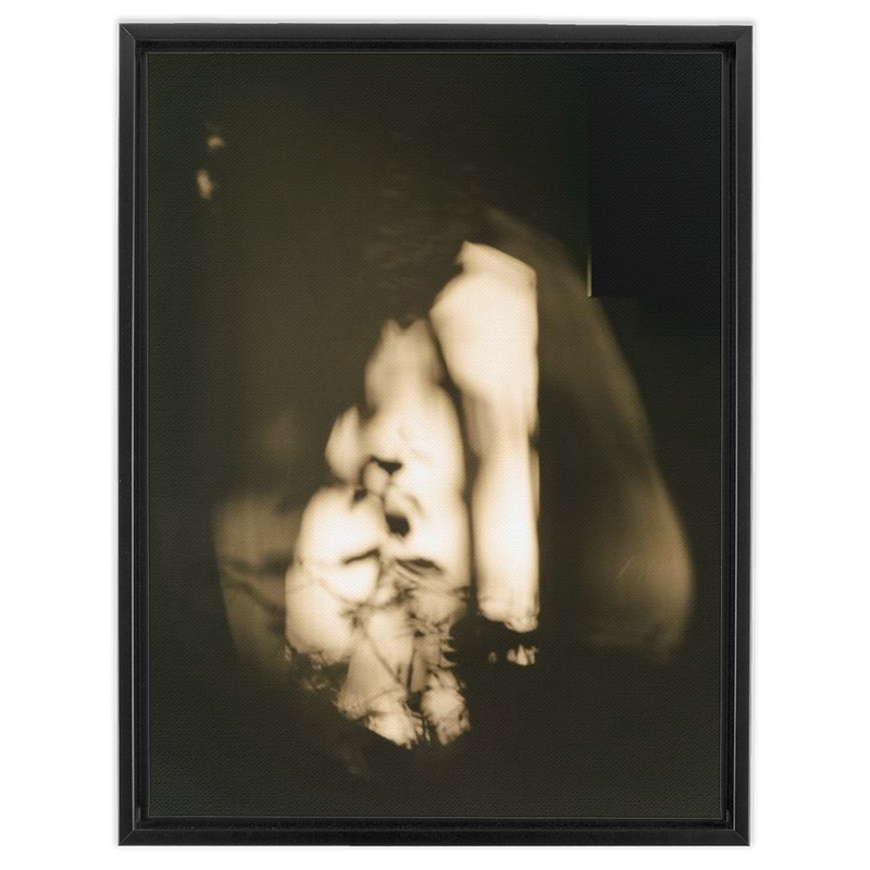 media image for Daybreak Canvas 290