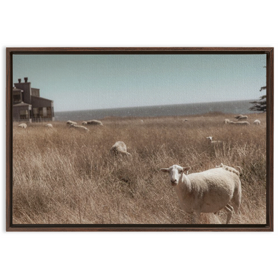 product image for Sea Ranch Framed Canvas 24