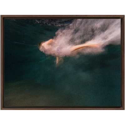 product image for Night Dive Framed Canvas 89