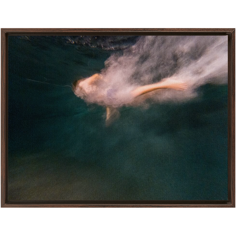 media image for Night Dive Framed Canvas 281