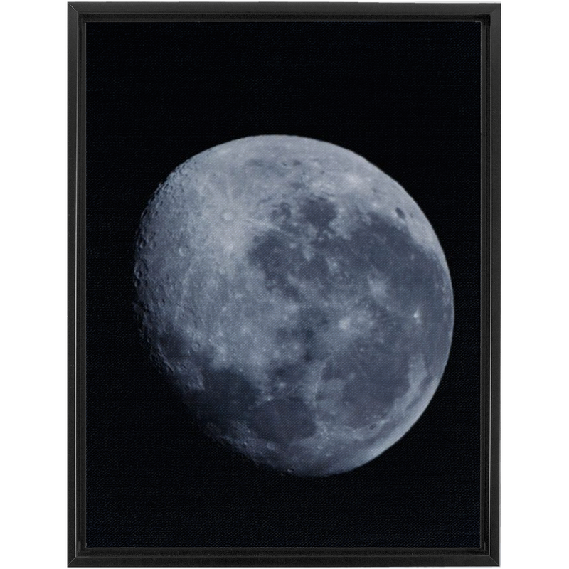 media image for Blue Moon Framed Canvas 25