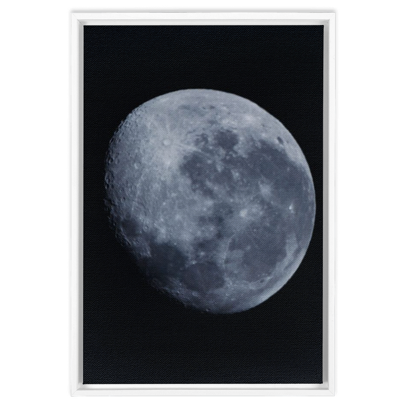media image for Blue Moon Framed Canvas 289