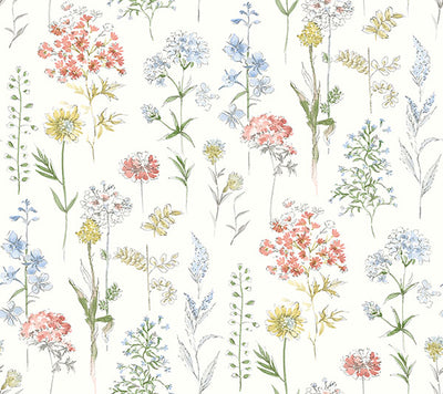 product image for Bergamot Multicolor Wildflower Wallpaper 25