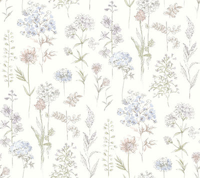 product image for Bergamot Lavender Wildflower Wallpaper 33
