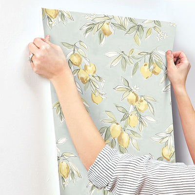 product image for Lemonade Aqua Citrus Wallpaper 36