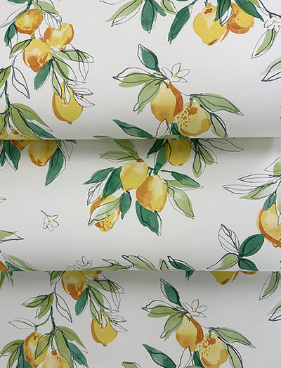 product image for Lemonade Yellow Citrus Wallpaper 25