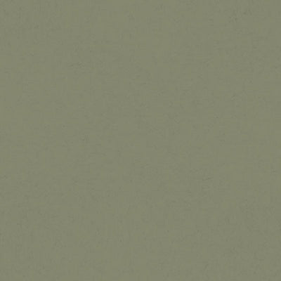 product image of Sample Parget Skog Olive Textured Wallpaper 555