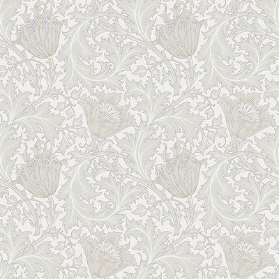 product image of Anemone Dove Floral Trail Wallpaper 575