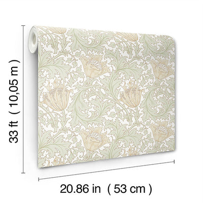 product image for Anemone Light Green Floral Trail Wallpaper 76