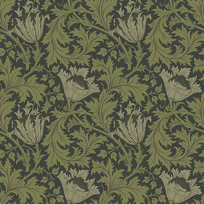 product image of Sample Anemone Dark Green Floral Trail Wallpaper 572