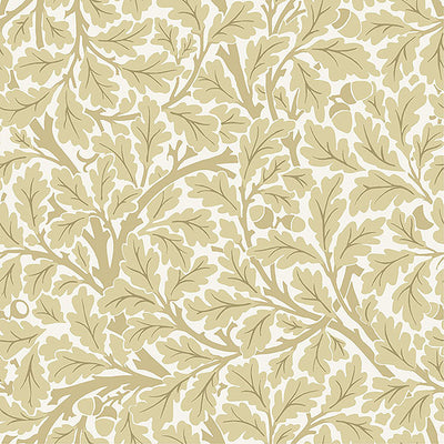 product image of Oak Tree Light Yellow Leaf Wallpaper 520