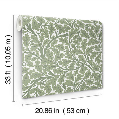 product image for Oak Tree Green Leaf Wallpaper 26
