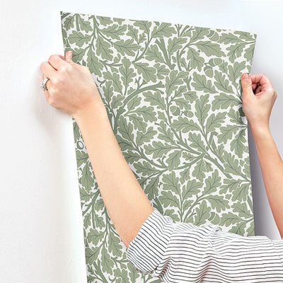 product image for Oak Tree Green Leaf Wallpaper 36
