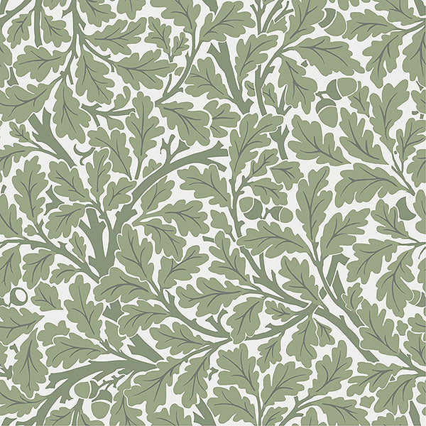 media image for Oak Tree Green Leaf Wallpaper 264