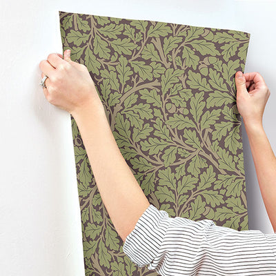 product image for Oak Tree Plum Leaf Wallpaper 67