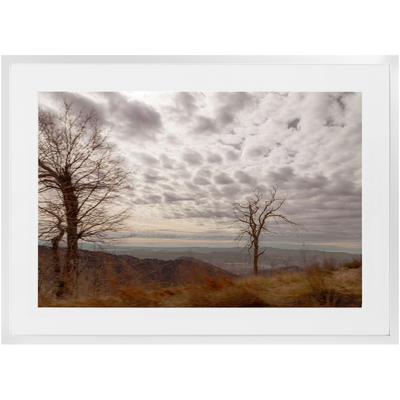 product image for Traveling Framed Print 49