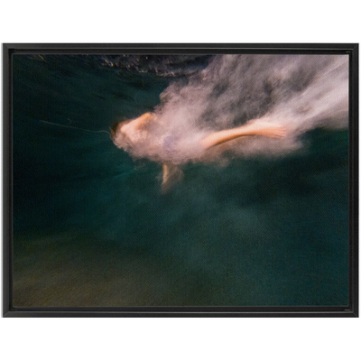 product image for Night Dive Framed Canvas 39