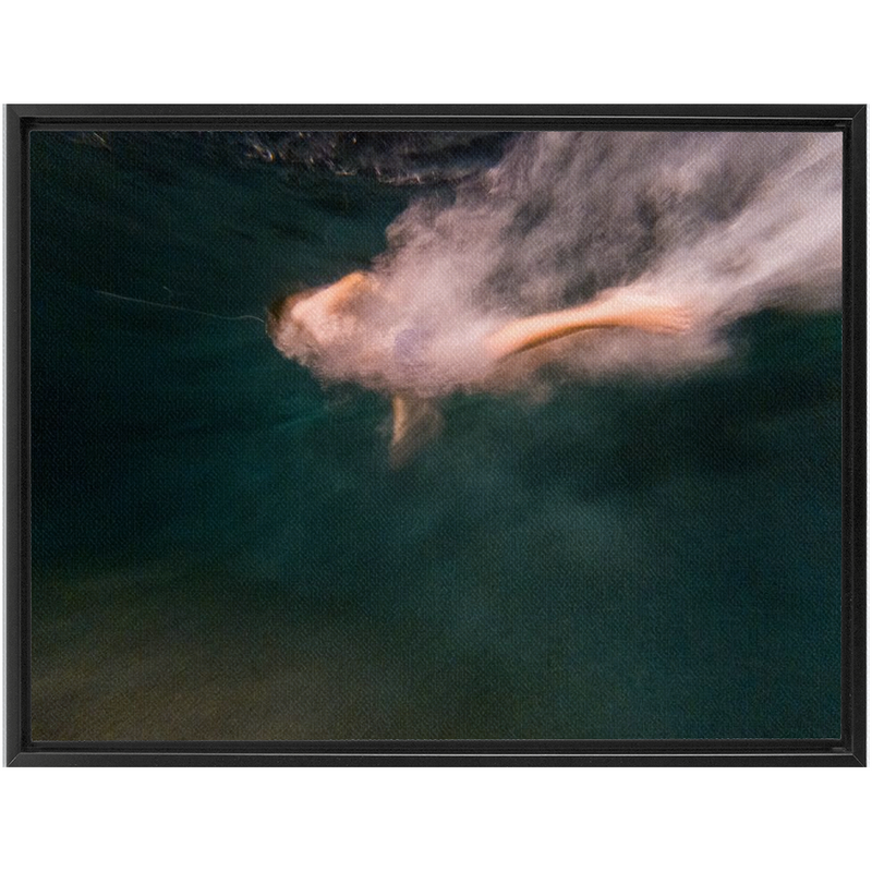 media image for Night Dive Framed Canvas 288