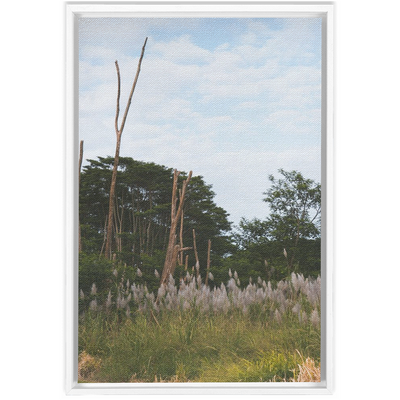 product image for Meadow Framed Canvas 63