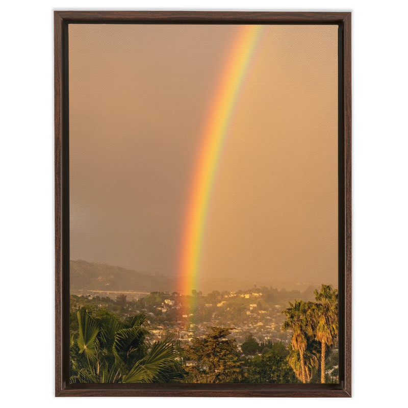 media image for Rainbow 2 Framed Stretched Canvas 25