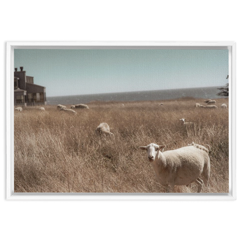 media image for Sea Ranch Framed Canvas 219