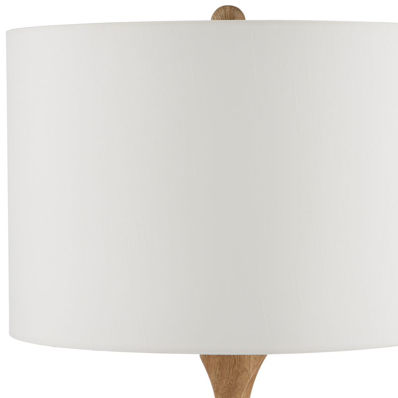 media image for Sunbird Table Lamp By Currey Company Cc 6000 0894 4 252